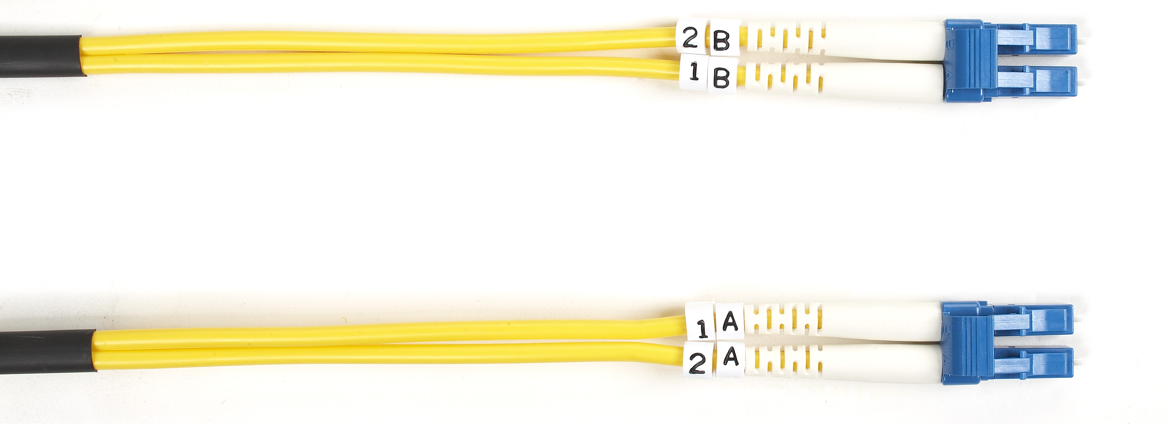 Amazon.com: Black Box OM1 62.5/125 Multimode Fiber Patch