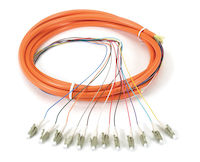 OM1 62.5-Micron Multimode Fiber Optic Pigtail - 12-Strand, OFNR, PVC
