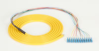 OS2 9-Micron Singlemode Fiber Optic Pigtail - 12-Strand, OFNR, PVC